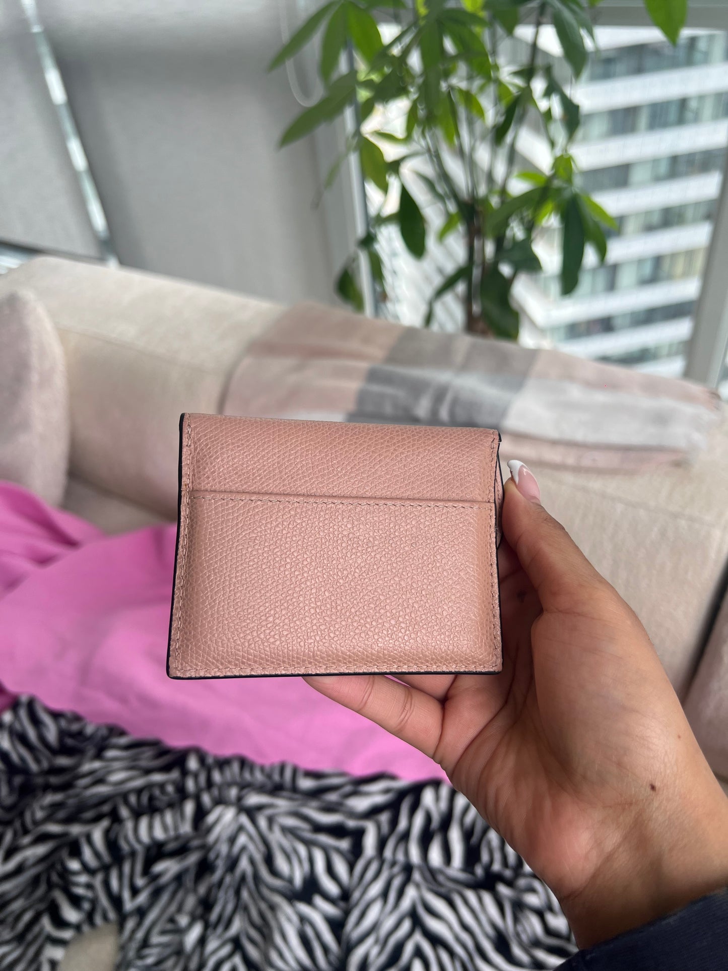 Dior Saddle Card Holder