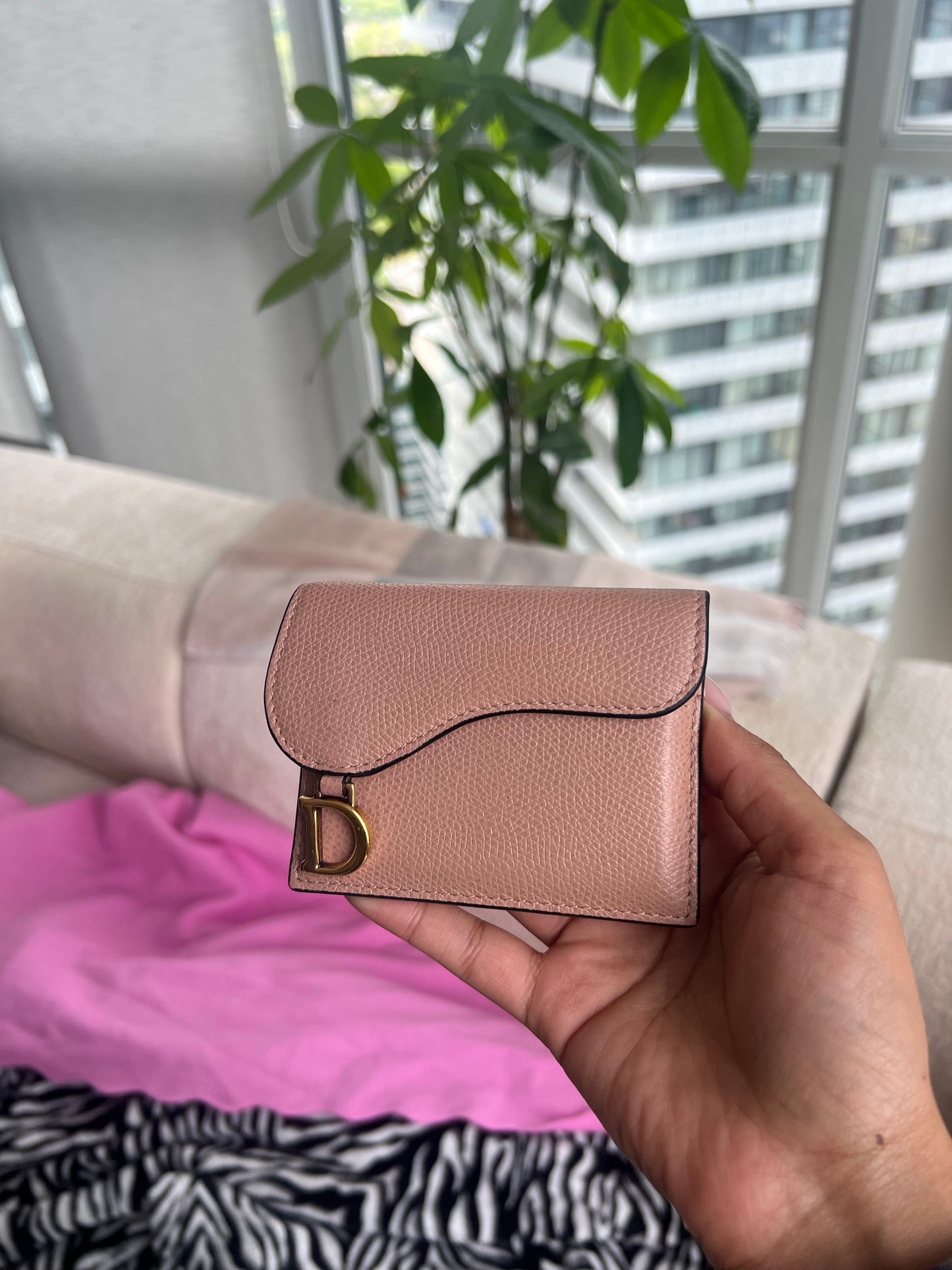 Dior Saddle Card Holder