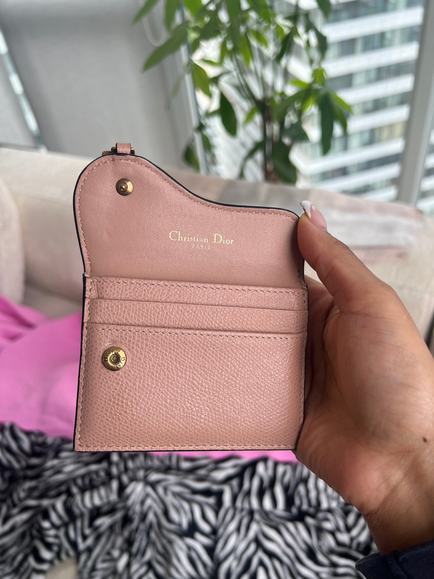 Dior Saddle Card Holder